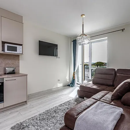 Apartment In Vilnius, 502